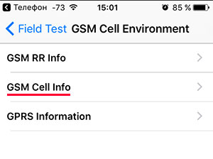  GSM Cell Environment  iPhone