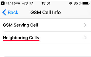  GSM Cell Info  iPhone